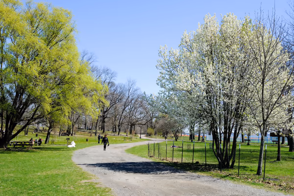 Dog Run at Pelham Bay Park photo 1